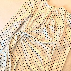 Long Sleeve Mini Silk Polka Dress